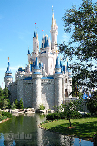 magic kingdom castle fireworks. picture Magic kingdom icon